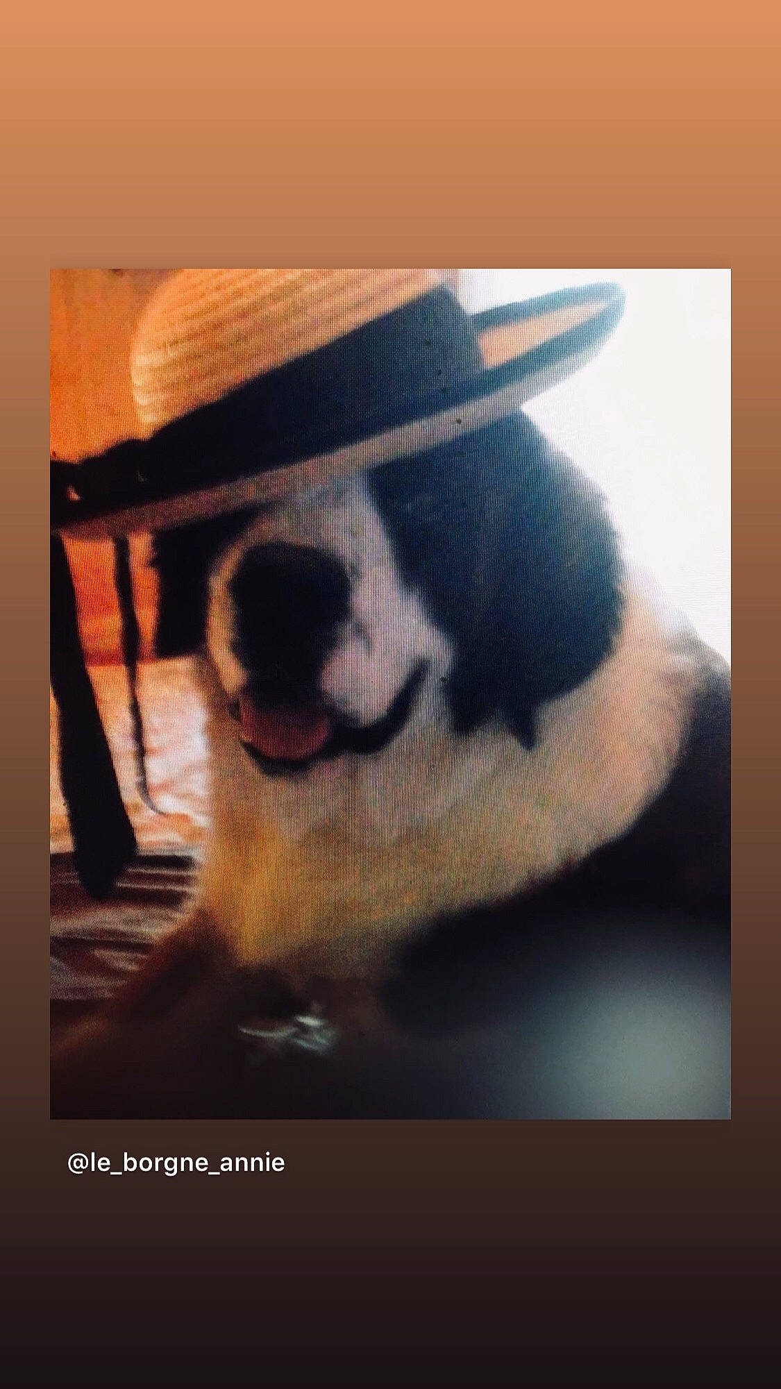 Jimy