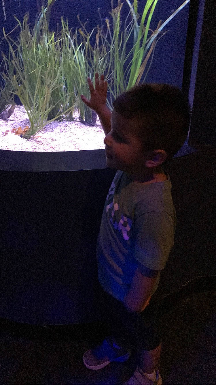 Emmet joined the competition — help win amazing prizes! aquarium, aquatic_plant, child, darkness, electric_blue, fish, flooring, freshwater_aquarium, fun, grass, happy, herb, mammal, marine_biology, person, plant, purple, shorts, t_shirt, toddler