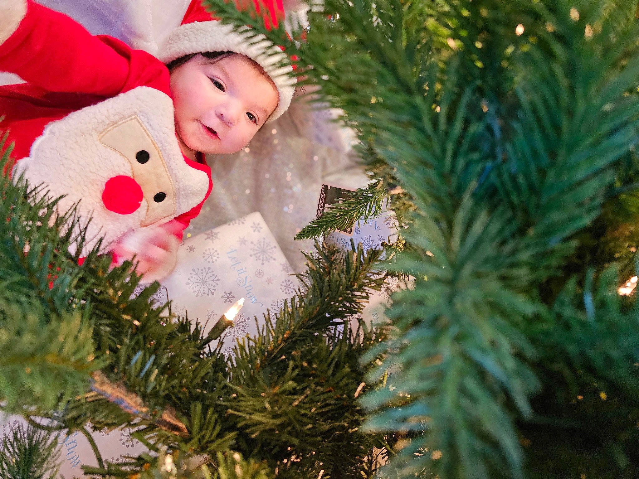 Reese is registered to the contest to win money with this photo: christmas, christmas_decoration, christmas_eve, christmas_ornament, christmas_tree, conifer, event, evergreen, grass, green, happy, headwear, holiday, holiday_ornament, larch, ornament, person, plant, tradition, tree