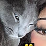 Candy joined the competition — help win amazing prizes! cat, gray_cat, fluffy, pet, animal, selfie, close_up, portrait, face, eye, whiskers, fur, indoors, person, human_face, emoji, digital_sticker, couch, cozy, playful