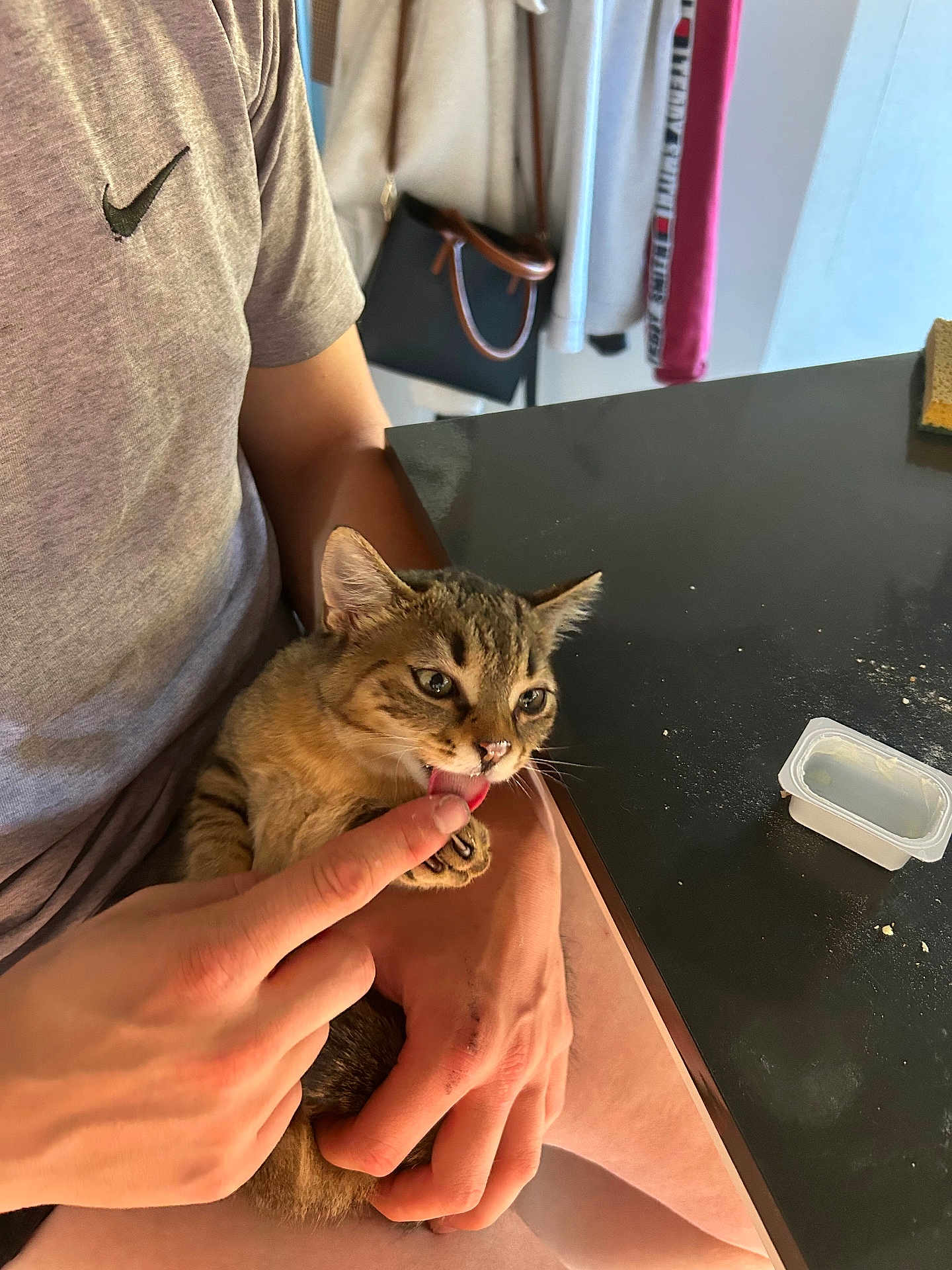 Yuva a rejoint le concours — aidez-le/la à gagner de superbes lots ! brown_tabby, casual, cat, clothing, cute, domestic_animal, finger, furniture, hand, holding, indoor, kitten, licking, nike_logo, person, pet, resting, shirt, short_hair, table