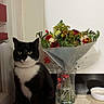 animal, black_and_white, bouquet, cat, cozy, curious, decor, domestic_cat, flowers, fur, houseplant, indoor, mat, pet, plant, sitting, still_life, tabletop, tuxedo_cat, vase