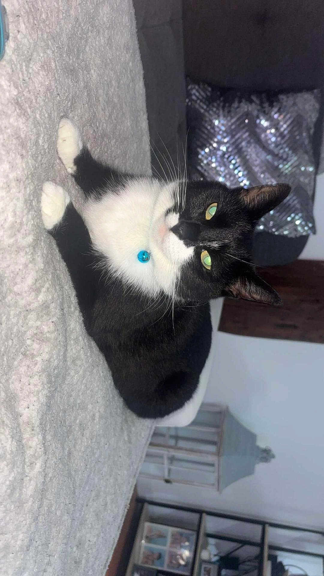 Maïa