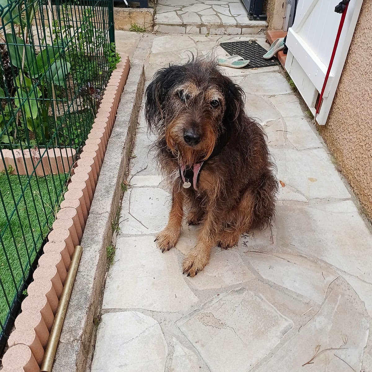 Babouche