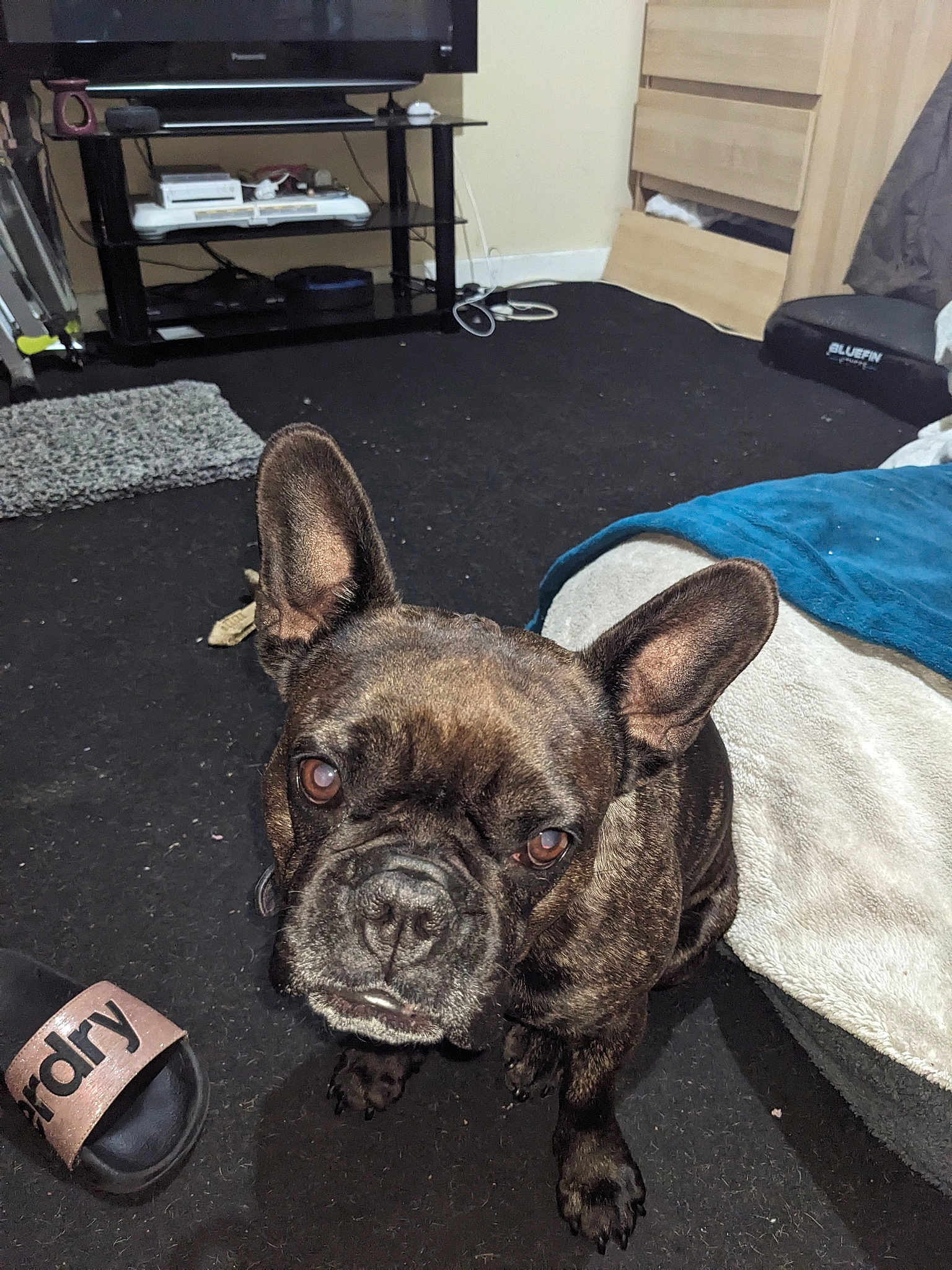 Lacey