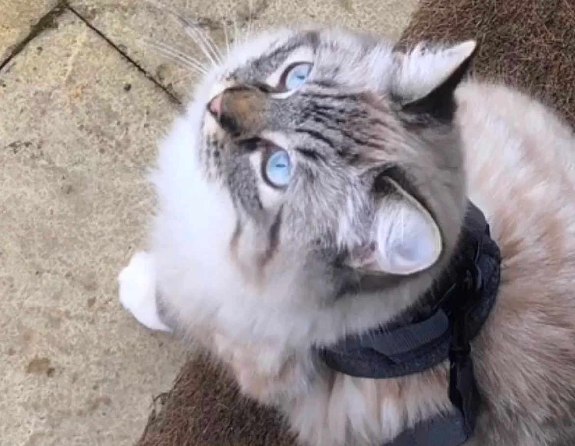 Alaska