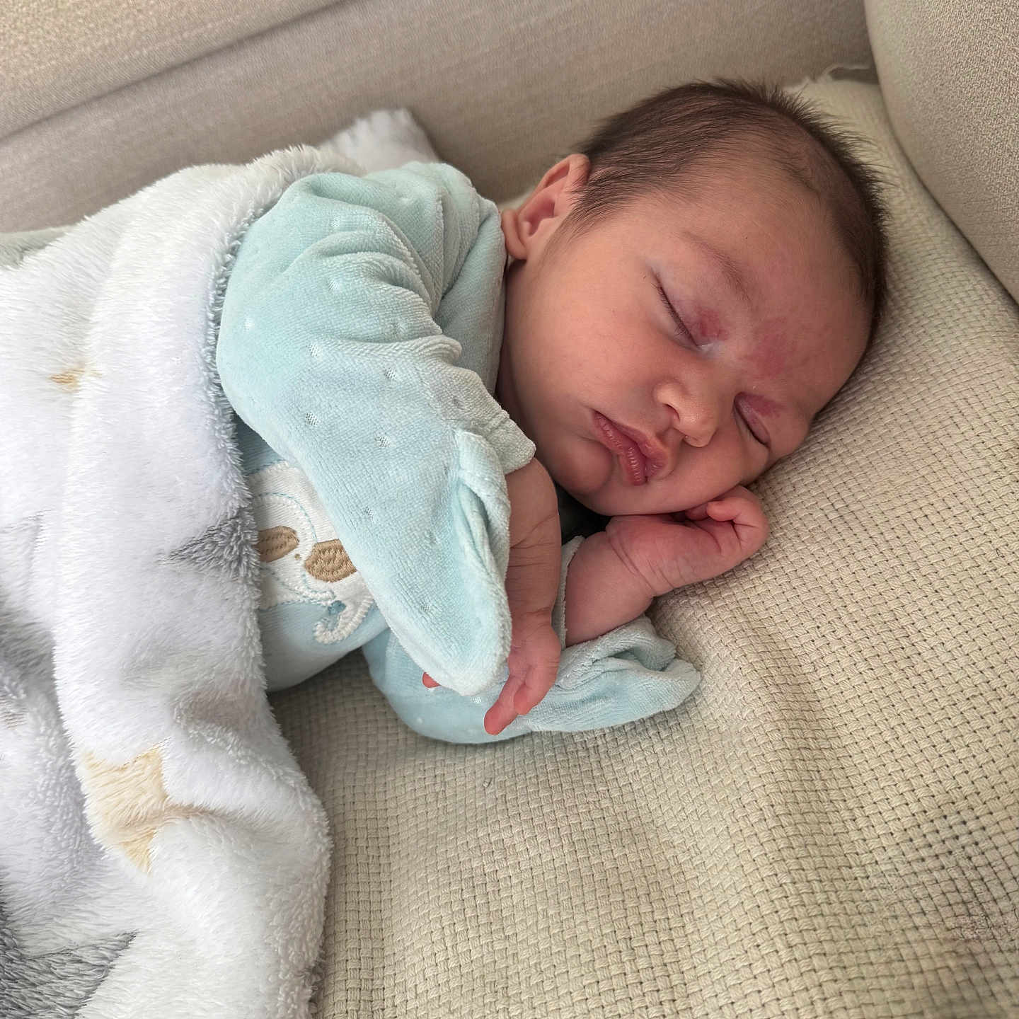 Aylan a rejoint le concours — aidez-le/la à gagner de superbes lots ! architecture, baby, bed, blanket, building, clothing, couch, cushion, face, furniture, glove, head, homedecor, newborn, person, photography, portrait, quilt, sleeping, towel