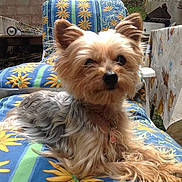 Hampiaux a rejoint le concours — aidez-le/la à gagner de superbes lots !