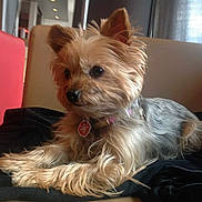 Coquine participe au concours pour gagner de l'argent avec cette photo :