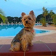 Coquine a rejoint le concours — aidez-le/la à gagner de superbes lots !