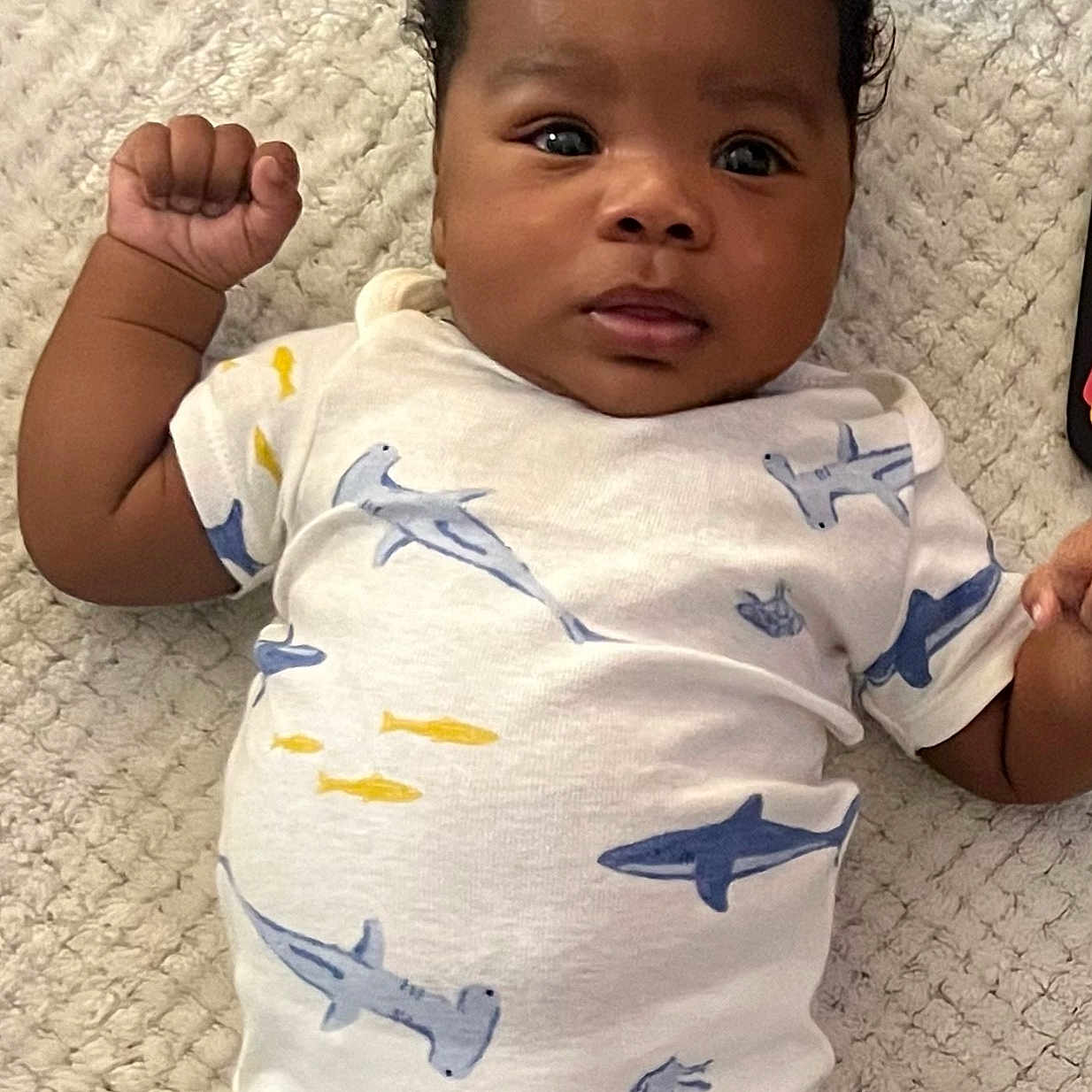 Jarvis is registered to the contest to win money with this photo: baby, baby_garment, blanket, child, clothing, cute, dark_hair, expression, fabric, face, hand, indoor, infant, lying_down, onesie, portrait, raised_fist, shark_pattern, soft_texture, young_child