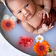 Céleste a rejoint le concours — aidez-le/la à gagner de superbes lots ! baby, infant, milky_bath, flowers, orange_flower, white_flower, pink_flower, water, skin, closeup, portrait, cute, peaceful, curious, child, tub, relaxation, indoor, soft_light, natural