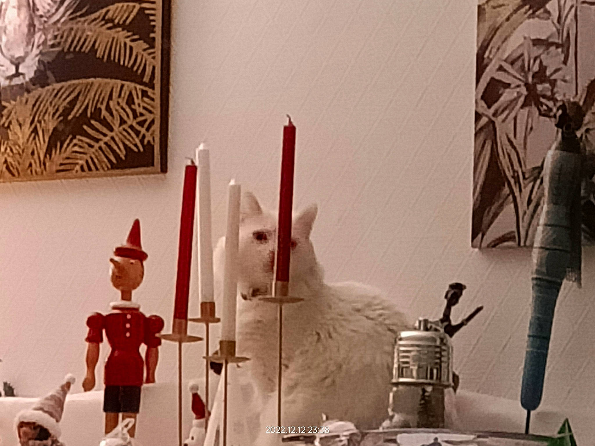 Pepper participe au concours pour gagner de l'argent avec cette photo : art, artist, carmine, collection, display_window, event, fashion_design, font, interior_design, machine, metal, photograph, photography, room, snapshot, still_life_photography, tourist_attraction, visual_arts, white, world