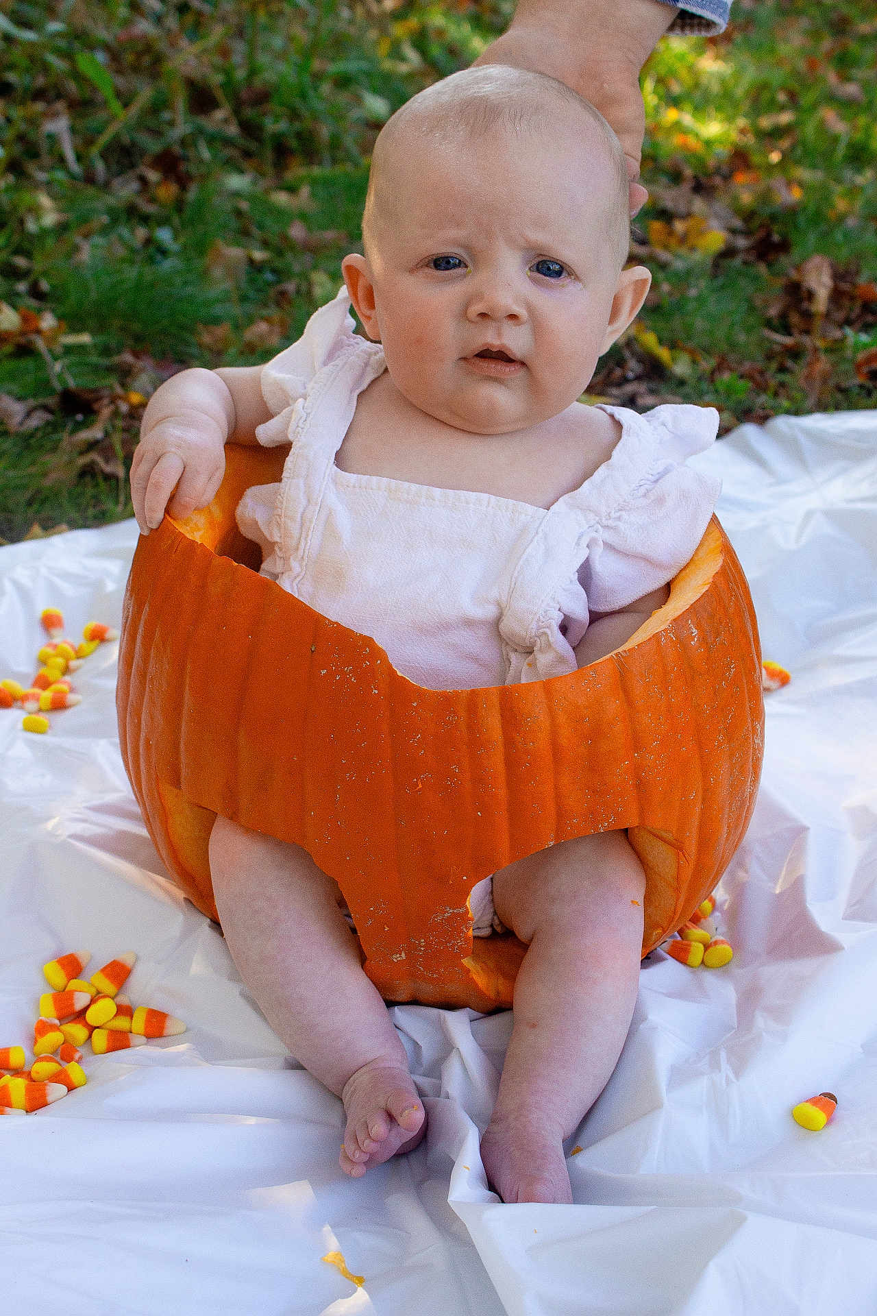 Harper joined the competition — help win amazing prizes! baby, pumpkin, candy_corn, outdoor, grass, autumn, child, white_clothing, sitting, expression, cute, festive, orange, leaf_litter, hand, foot, person, skin, head, nature