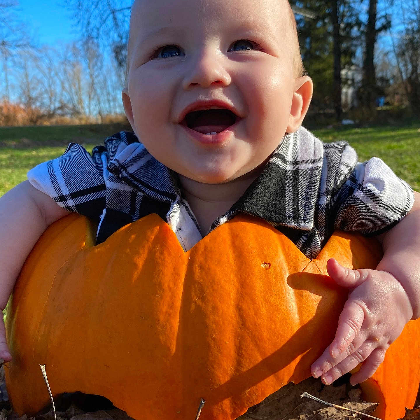 Jackson is registered to the contest to win money with this photo: baby, bodypart, face, finger, food, grass, hand, happy, head, laughing, leaf, person, photography, plant, portrait, produce, pumpkin, squash, tree, vegetable