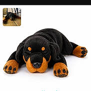 Billy participe au concours pour gagner de l'argent avec cette photo : dog, plush_toy, stuffed_animal, black_and_orange, lying_down, front_view, toy, white_background, product_photo, indoor, phone_screenshot, web_browser, website, thumbnail, text, orange_paws, black_fur, cute, stationary, commercial_image