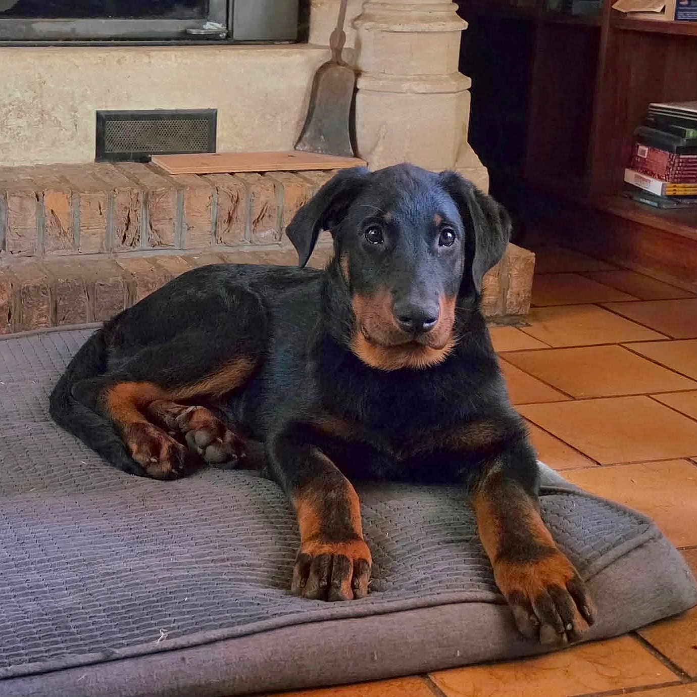 Billy