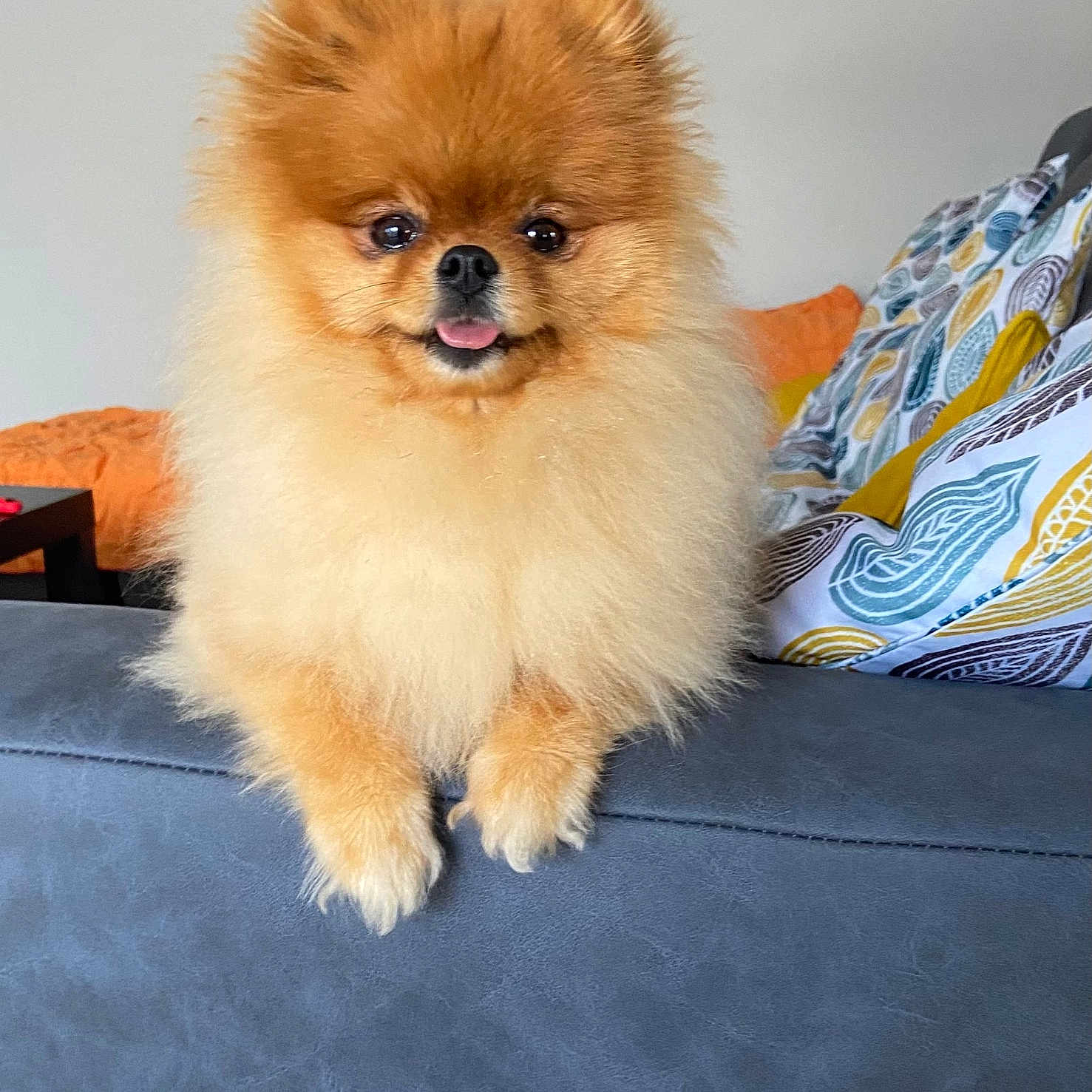 Nala