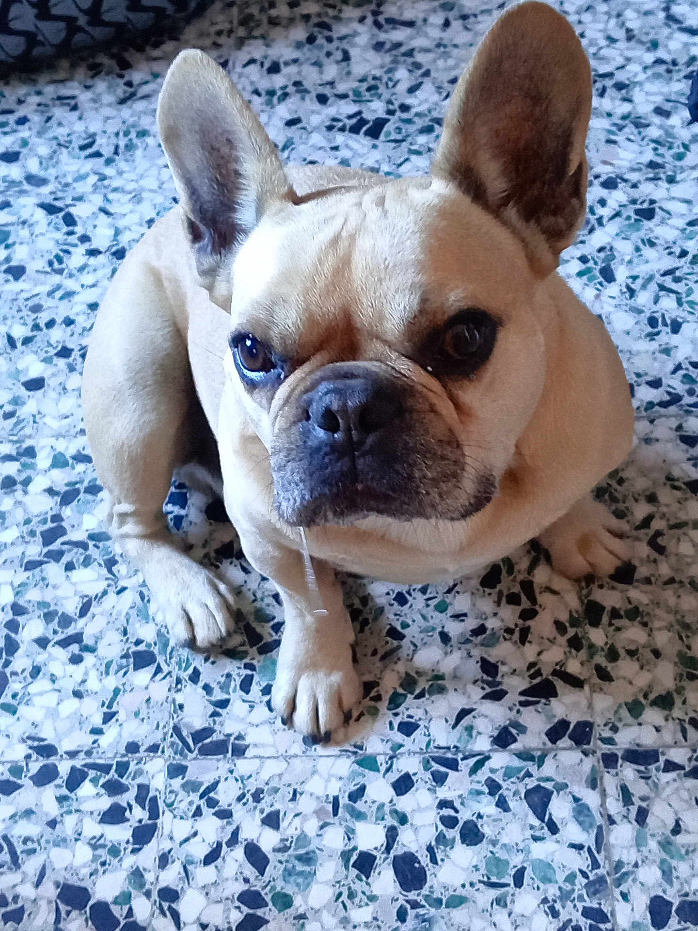 Olaf