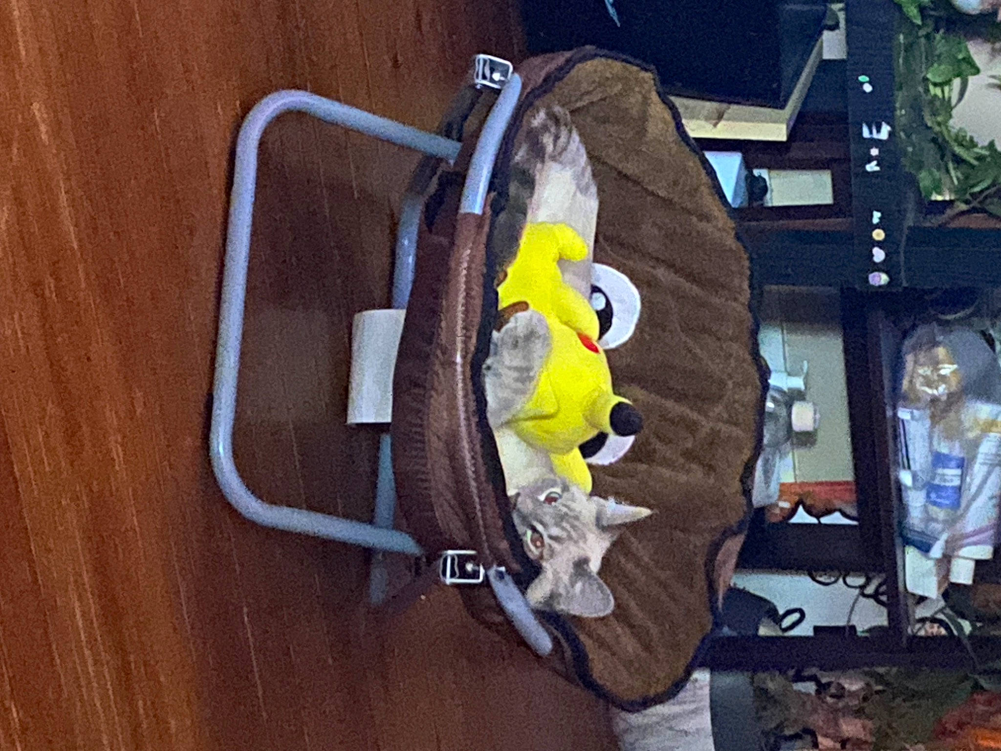 Gronk is registered to the contest to win money with this photo: art, audio_equipment, bag, gas, hardwood, luggage_and_bags, motor_vehicle, personal_protective_equipment, room, stuffed_toy, visual_arts, wire, wood