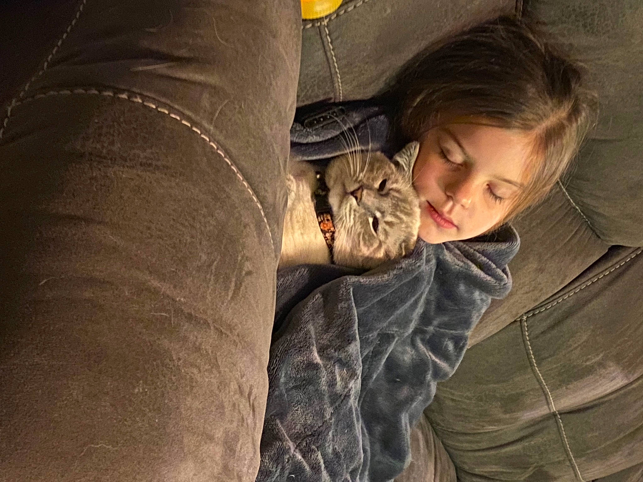 Gronk joined the competition — help win amazing prizes! child, comfort, darkness, flash_photography, fun, fur, grass, grey, happy, human_body, human_leg, long_hair, nap, portrait_photography, sitting, sleep, tints_and_shades, toddler, tree, wood