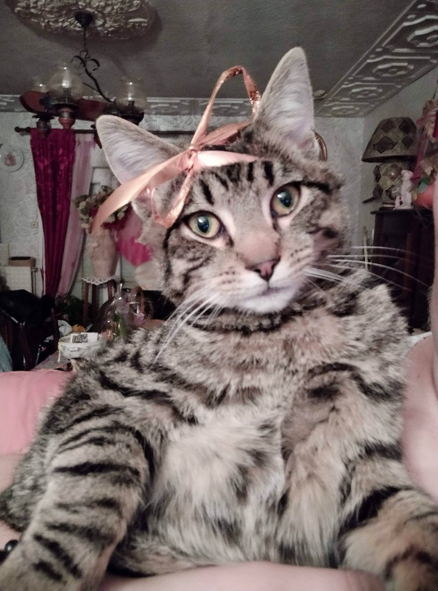 Tigrou