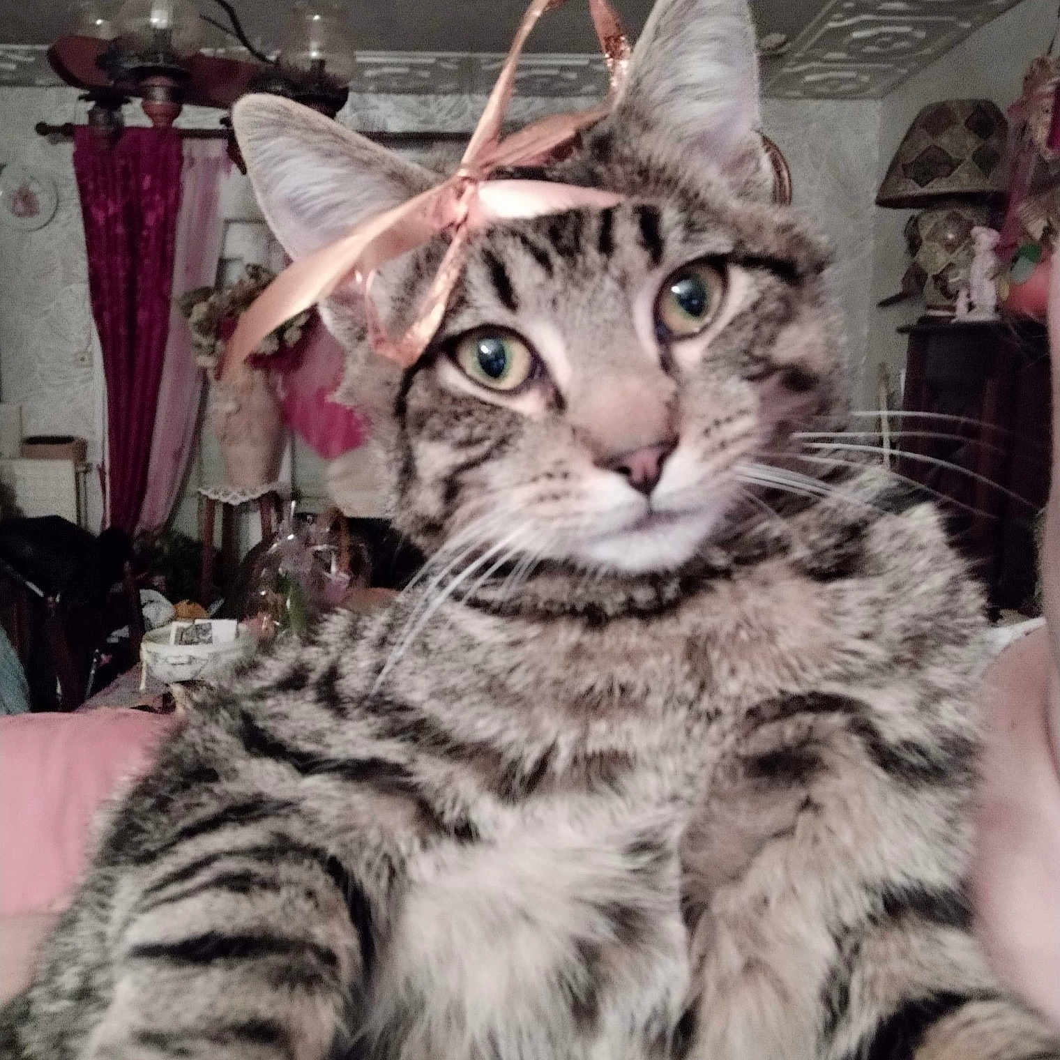 Tigrou