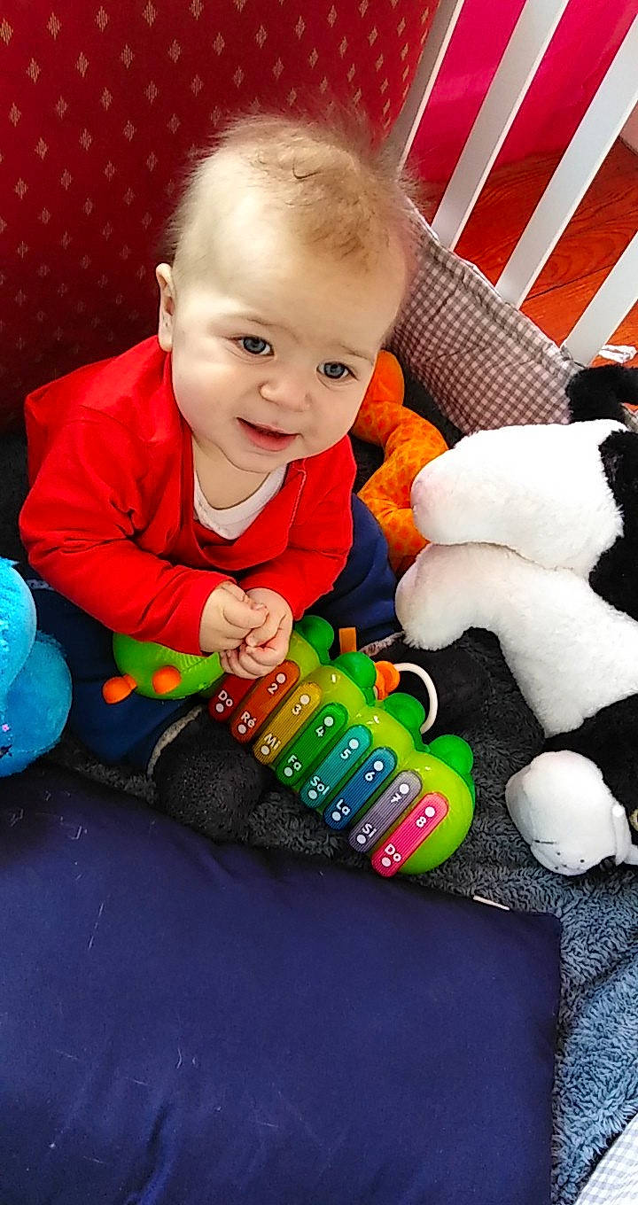 Alexandre participe au concours pour gagner de l'argent avec cette photo : baby, child, person, play, toddler, toy