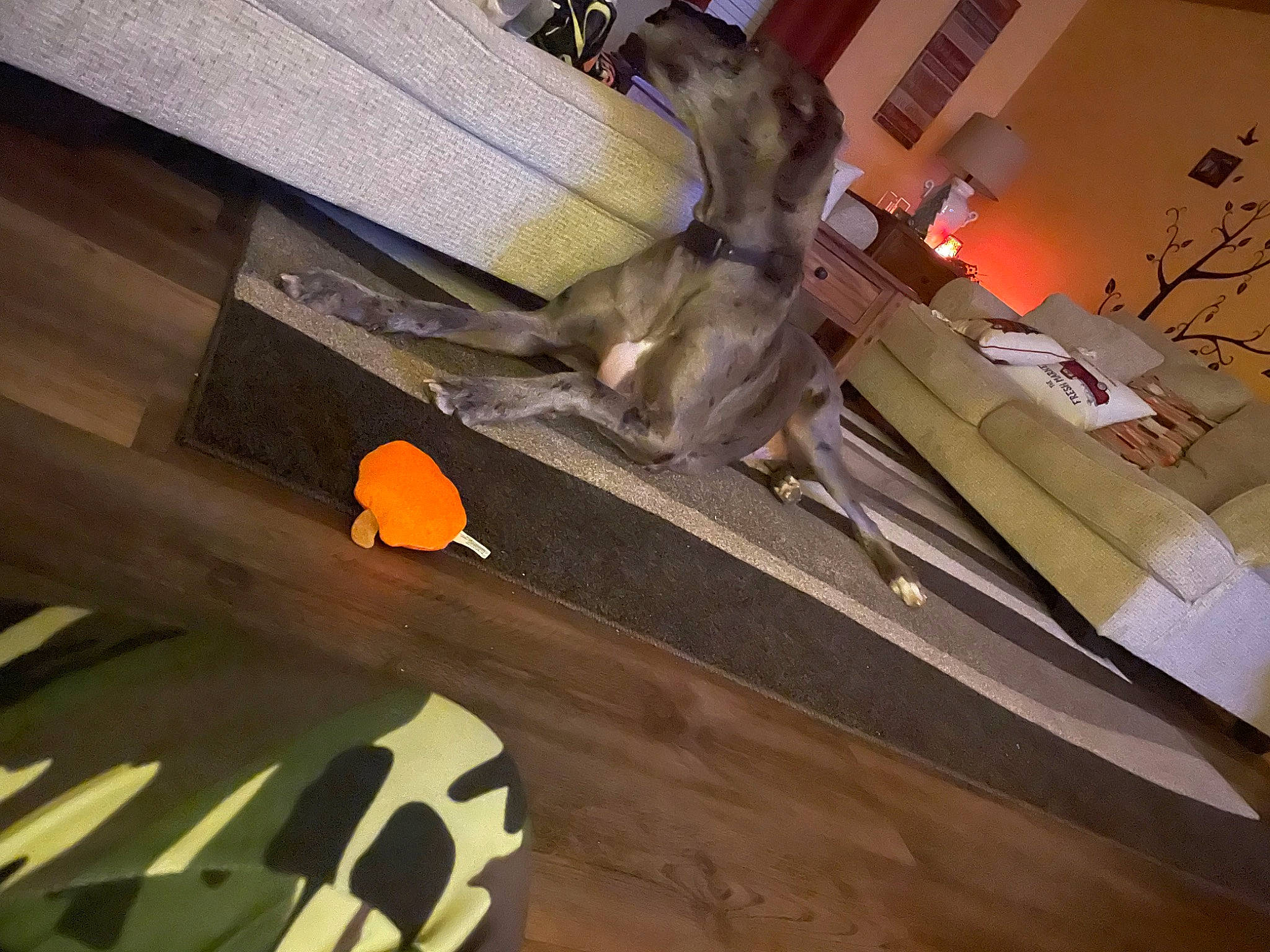 Miller is registered to the contest to win money with this photo: art, beam, building, ceiling, concrete, daylighting, facade, flooring, glass, hardwood, metal, roof, room, shadow, tail, tints_and_shades, visual_arts, wing, wood, wood_stain