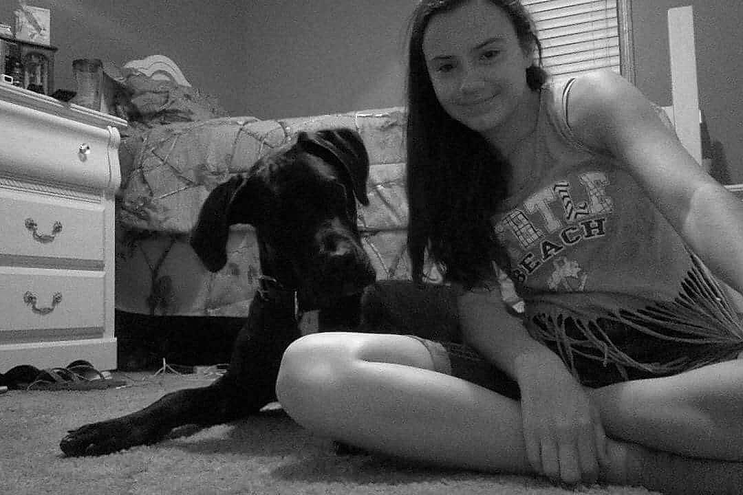 Cash joined the competition — help win amazing prizes! black, black_and_white, black_hair, cabinetry, carnivore, chest_of_drawers, comfort, dog, drawer, elbow, flash_photography, gesture, happy, knee, leg, shorts, smile, style, thigh, white