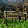 Bianca participe au concours pour gagner de l'argent avec cette photo : cat, black_and_white_cat, animal, pet, outdoor, garden, grass, bench, wooden_bench, moss, ivy, stone_wall, greenery, foliage, nature, park, rustic, exploring, tail, landscape