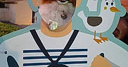 Bonnie participe au concours pour gagner de l'argent avec cette photo : dog, fluffy, cartoon, sailor, standee, face_cutout, seagull, outdoor, evening, sky, tree, smile, pet, animal, playful, cute, fun, photo_op, sign, humor