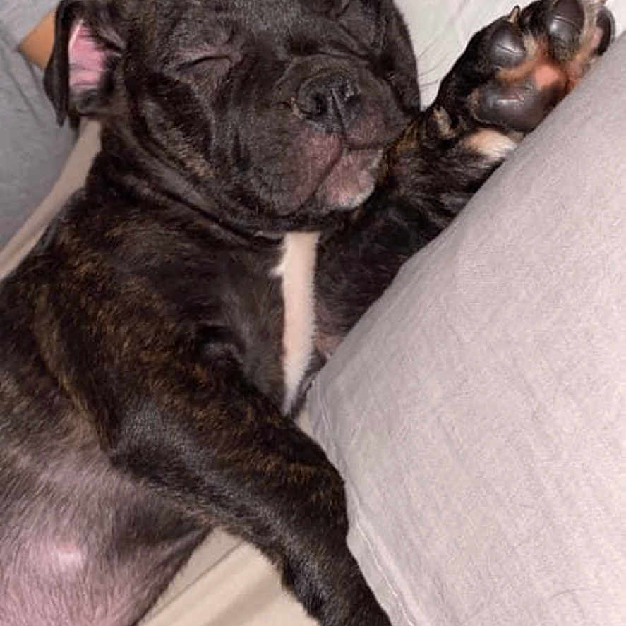 Django