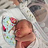 baby, bed, blanket, child, cute, healthcare, hospital, incubator, indoors, infant, medical, newborn, peaceful, pillow, portrait, resting, sleeping, soft, swaddled, tiny