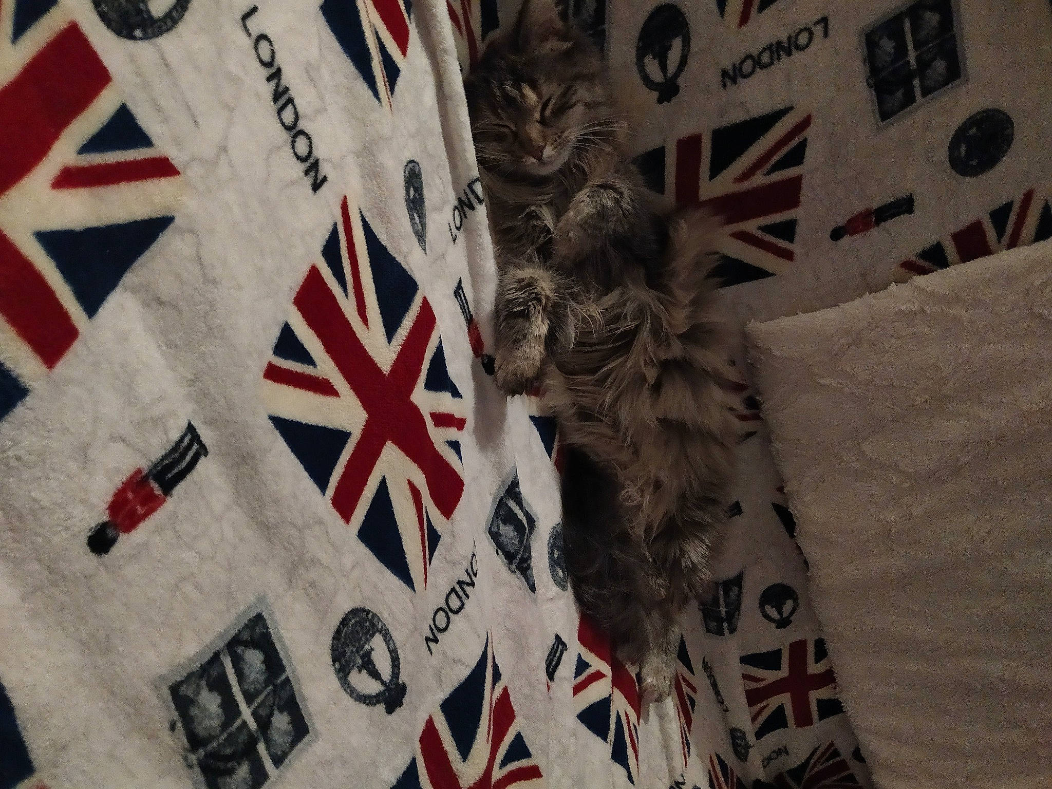 Rin participe au concours pour gagner de l'argent avec cette photo : advertising, art, automotive_wheel_system, carmine, circle, event, font, graphic_design, graphics, logo, pattern, room, stock_photography, symmetry, textile, tints_and_shades, triangle, visual_arts, wall, wood