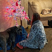 Tennessee joined the competition — help win amazing prizes! person, dog, christmas_tree, lights, ornaments, couch, robe, floor, indoor, wooden_floor, curtains, decor, pet, holiday, relaxing, seated, sleeping_dog, furniture, home, cozy