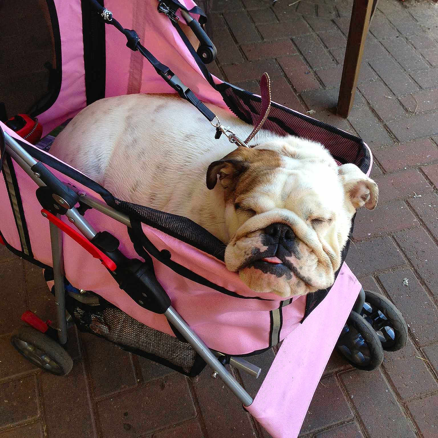 Akasha joined the competition — help win amazing prizes!