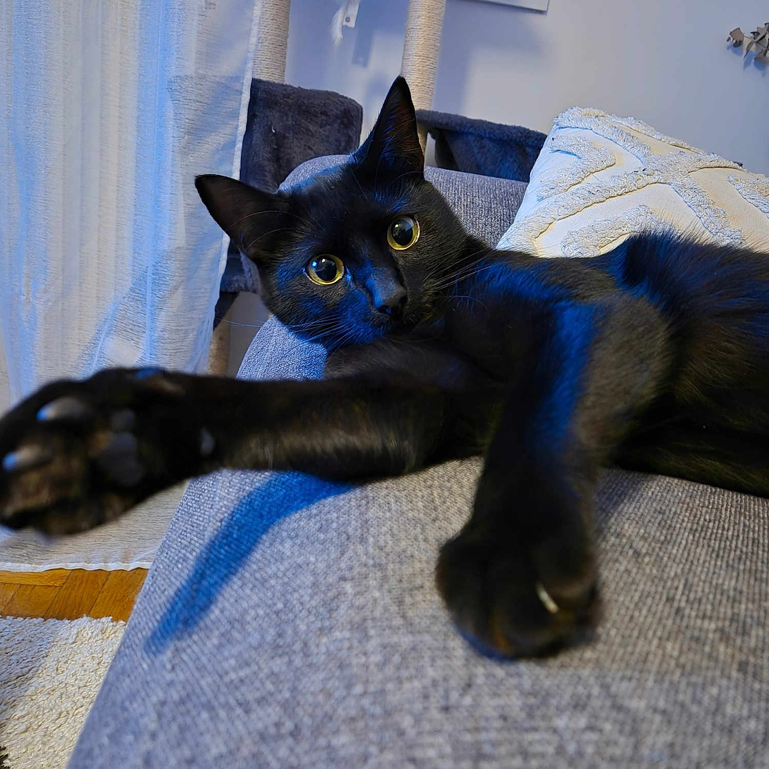 Marty