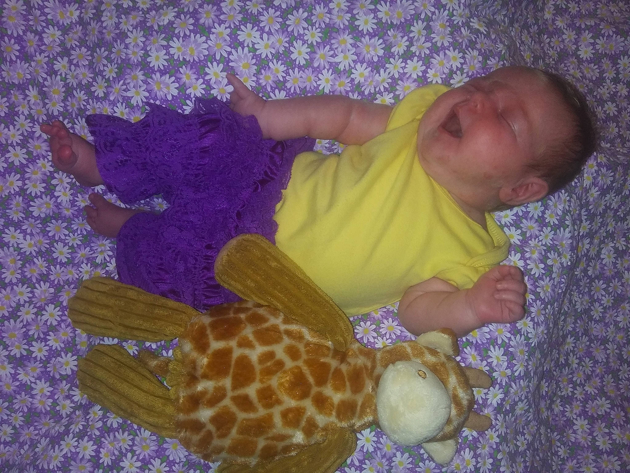 Aleigha joined the competition — help win amazing prizes! baby, child, fawn, person, toddler