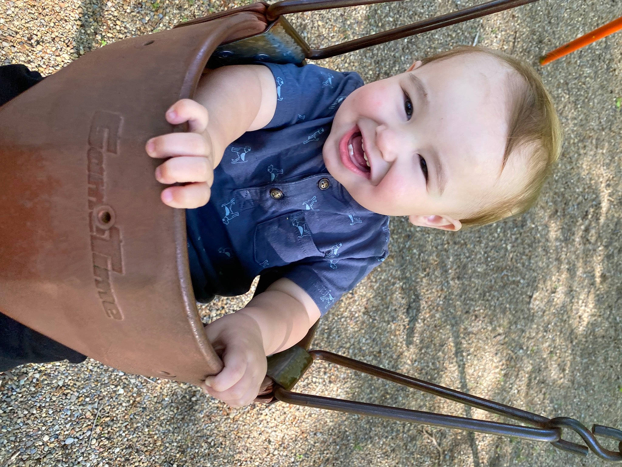 Zayden joined the competition — help win amazing prizes! baby, baby_toddler_clothing, child, eye, face, facial_expression, fun, grass, happy, head, human_settlement, joy, leisure, outdoor_play_equipment, person, photograph, play, recreation, smile, swing