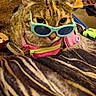accessories, animal, blanket, cat, close_up, cozy, cute, feline, funny, household, indoor, pet, pink_harness, playful, red_shoe, relaxed, striped_blanket, sunglasses, tabby, toy_camera