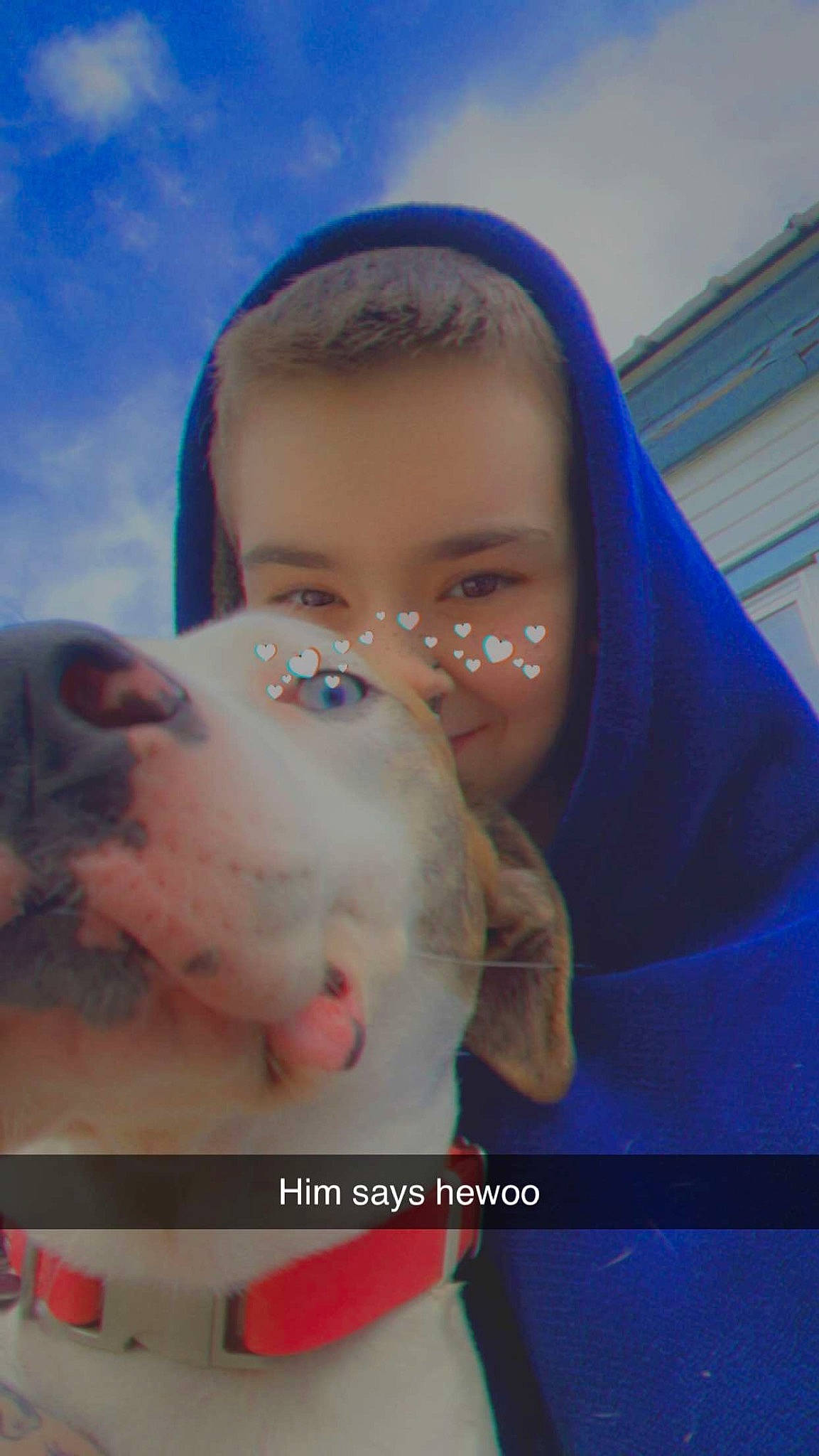 Blaze joined the competition — help win amazing prizes! blue, child, companion_dog, electric_blue, eyebrow, eyewear, fun, fur, gesture, happy, jaw, leisure, love, nose, photo_caption, selfie, sky, toddler, vacation