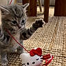 animal, carpet, cat, cozy, curious, cute, feline, furniture, hello_kitty, home, indoor, kitten, paw, pet, playful, red_ribbon, small_animal, tabby, toy, wooden