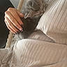 cat, chair, close_up, clothing, comfort, cozy, fingers, gray_cat, hand, indoor, kitten, nails, person, pet, relaxation, resting, ribbed_fabric, snuggling, soft_lighting, woven_chair