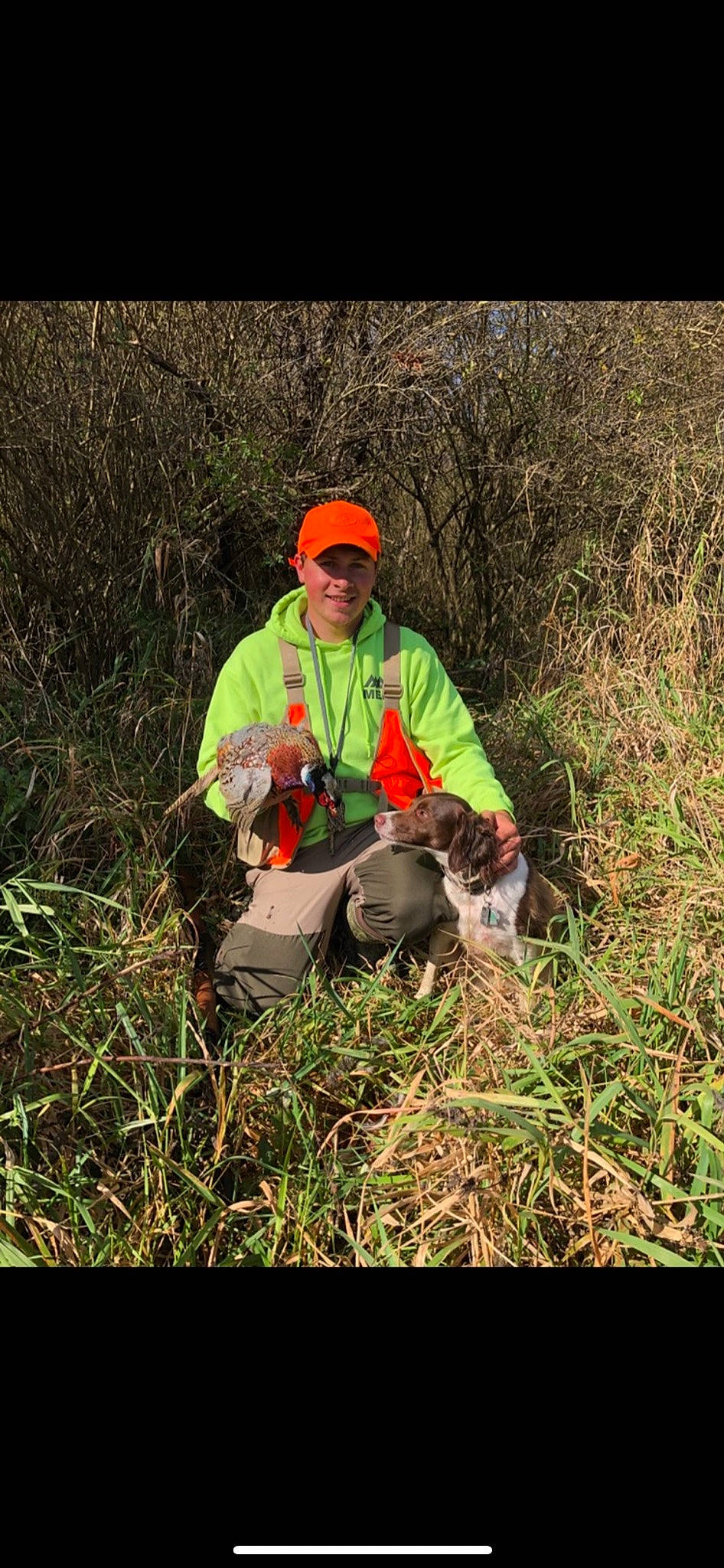 Daisy joined the competition — help win amazing prizes! adventure, carnivore, companion_dog, dog, dog_breed, dog_hiking, forest, grass, grassland, landscape, leisure, pasture, people_in_nature, plant, prairie, recreation, shrub, soil, t_shirt, vertebrate