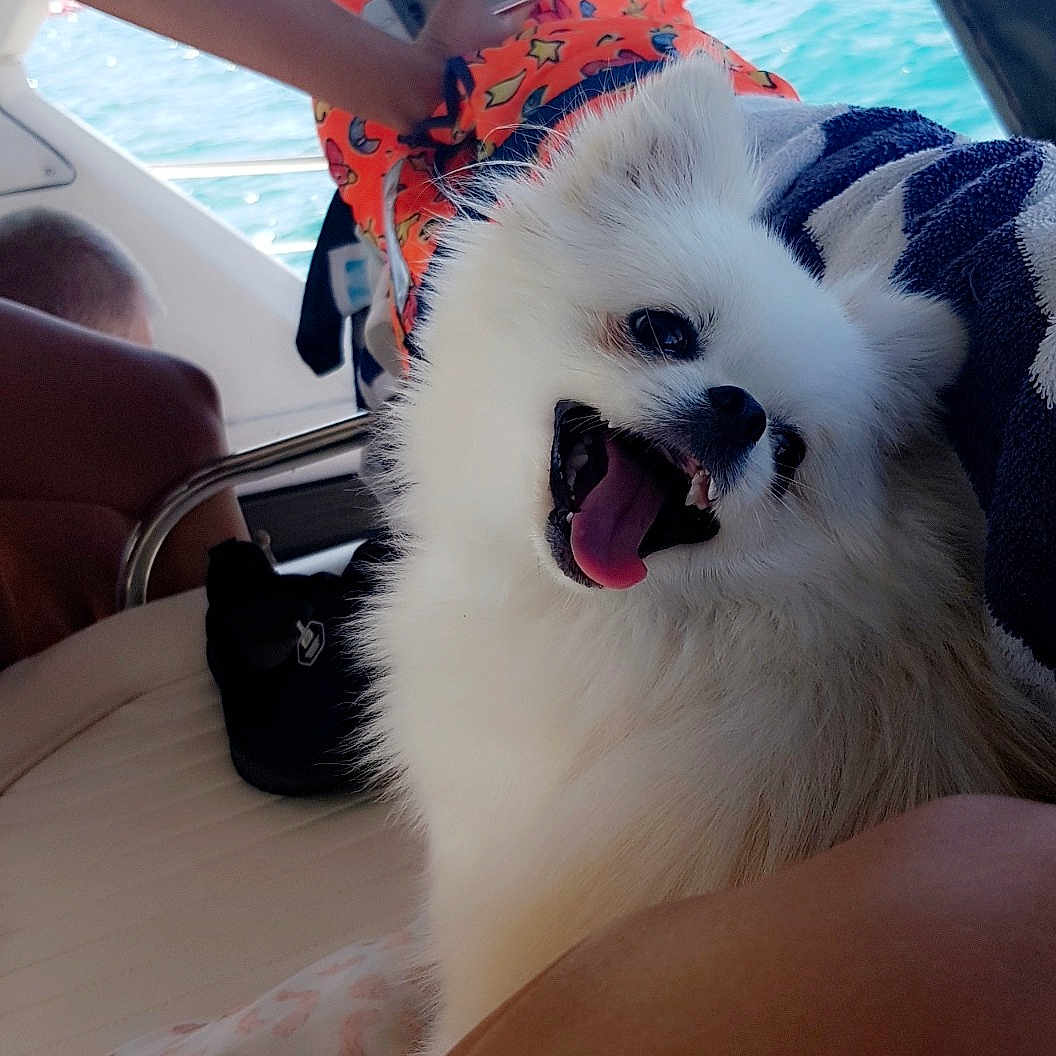 Kimmy