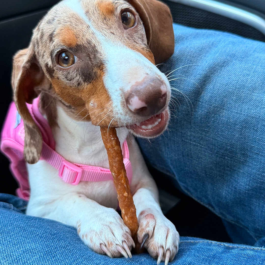 Reba