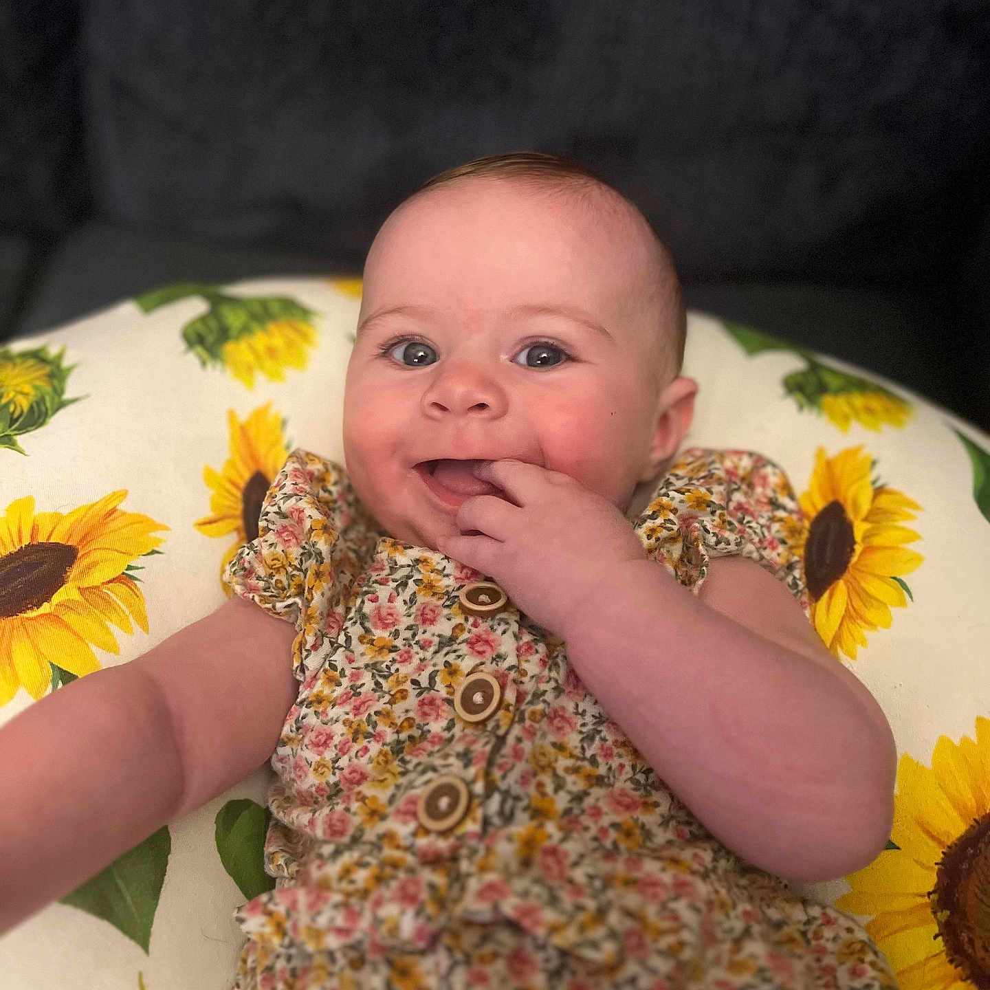 Bryxlee joined the competition — help win amazing prizes! baby, child, smiling, floral_dress, sunflower, cushion, indoor, portrait, happy, cute, infant, hand, face, person, skin, eyes, head, colorful, comfort, fabric