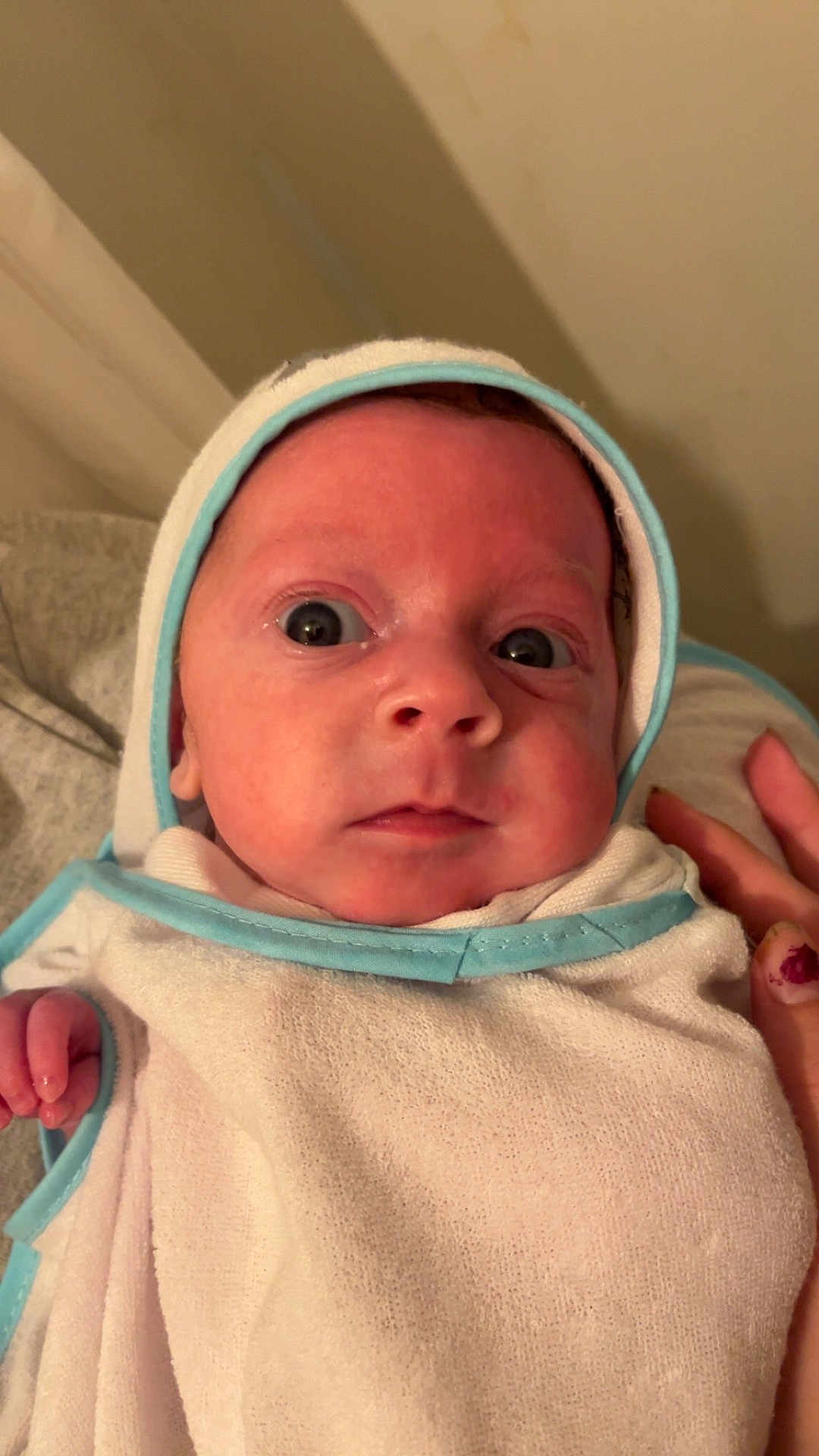 Halton is registered to the contest to win money with this photo: baby, infant, towel, face, eyes, hand, skin, clothing, newborn, portrait, wrapped, blue_trim, expression, curious, indoors, person, closeup, headwear, soft_texture, support