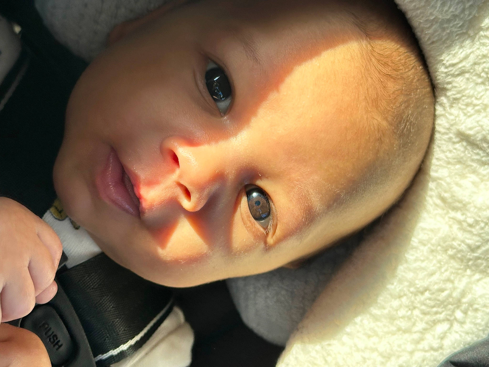 Amour is registered to the contest to win money with this photo: baby, cheek, child, chin, close_up, ear, eye, eyebrow, eyelash, facial_expression, forehead, happy, head, iris, lip, mouth, no_expression, nose, person, skin